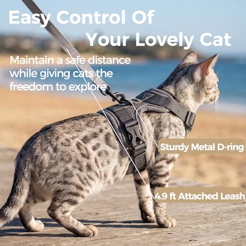 pangdi Cat Harness and Leash Set Escape Proof Tactical Extra Large Kitten Harness Emotional Support Cat Vest, Grey, XL