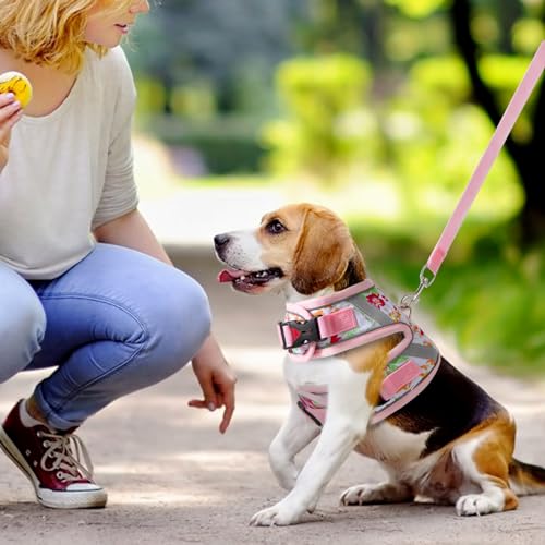 VIBRANZY Floral cat Leash and Harness Set. The cat Harness Escape Proof Feature Allows You to Walk You cat, Small Dog or R...