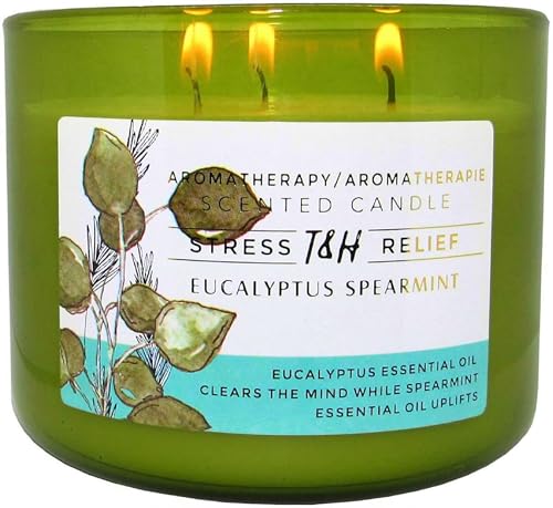 Eucalyptus Spearmint Scented Candle | 15.8 oz Large 3 Wick Soy Candle | Soothing Aromatherapy Candle for Home | Fresh Spa ...