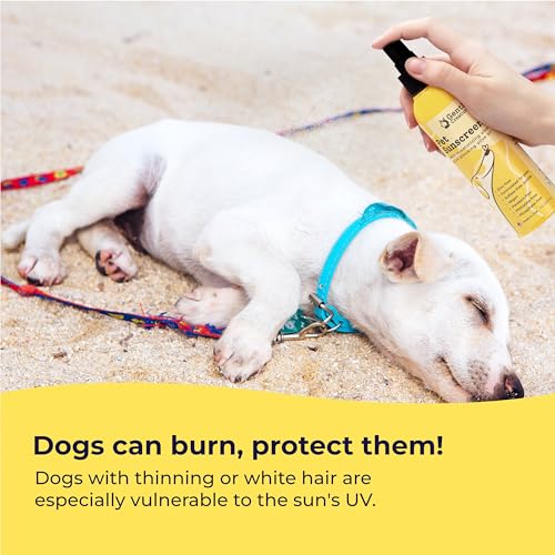 Gentle Creatures Dog Sunscreen - SPF 30+ With Skin Moisturizing Vitamin E and Olive Oil - No Zinc Oxide Safe for All Dogs ...