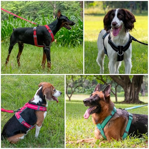 Plutus Pet No Pull Dog Harness, Adjustable Nylon Harness with Soft Padding, Reflective and Heavy Duty Dog Harness for Smal...