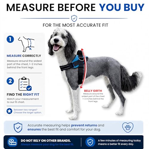 ShawnCo Essential Dog Harness, No-Pull Pet Vest with 3 Leash Clips, No Choke, Reflective, Adjustable and Padded, for Easy ...