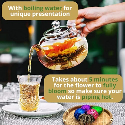 10 Assorted Blooming Flower Tea Balls Gift Set| Handmade Herbal Flowering Tea Balls Variety Individual Packing| Blooming G...