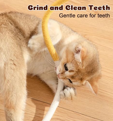 Dgerp Cat Chew Ropes 4Pcs, Cat Toys for Indoor Cats with Refillable Natural Catnip, Safe Teeth Cleaning Chew Toys, Interac...