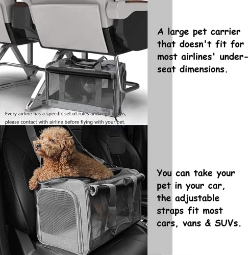 GAPZER Pet Carrier for Large Cats, Soft-Sided Cat Carrier for Medium Big Cats and Puppy up to 20lbs, Washable Dog Carrier ...