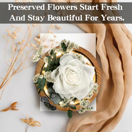Regalo Flor Preserved Roses & Preserved Flowers Gift for Women, Roses that Last Forever, Flowers for Delivery Prime, White...
