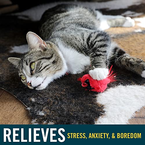 OurPets Play-N-Squeak Real Birds Interactive Cat Toys with Catnip (Cat Toys for Indoor Cats; Catnip Toy for Cats with Bird...