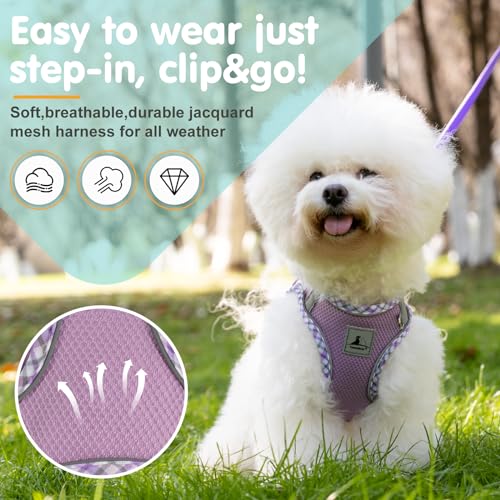 TomteNisse Dog Harness and Leash Set - No Pull Soft Breathable Small Dog Harness, Adjustable Reflective Step in Vest for P...