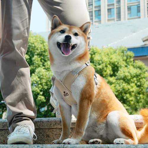 Patas Lague Dog Harness with Leash Set Adjustable Soft Padded Step-in Dog Vest No Choke No Pull Reflective for Small Mediu...