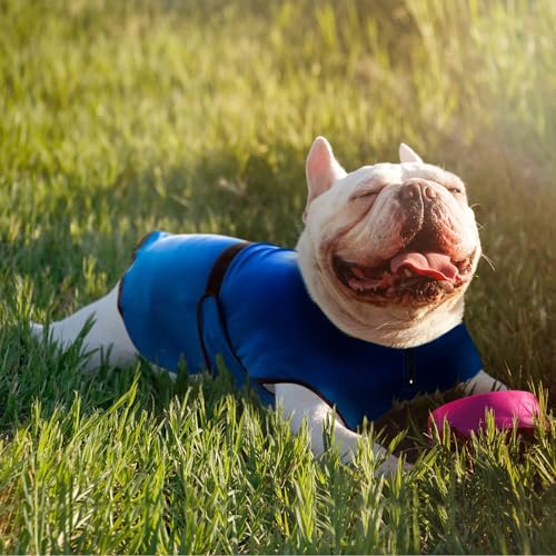 Lautus Pets Dog Cooling Vest – Lightweight Summer Jacket for Dogs with Zip Neck & Velcro – Easy On/Off Cooling Coat for Wa...