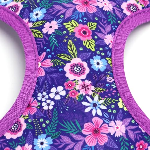 Moonpet Step in Dog Harness Leash Set- All Weather Reflective No-Pull Floral Pattern Padded Mesh Vest Harness for Cats Pup...