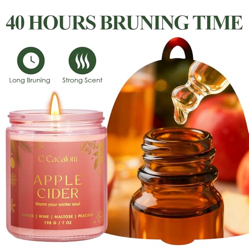 Winter Scented Candles, Holiday Candles for Home, Aromatherapy Soy Candles Gifts Set for Women Men, Vanilla/Fir/Apple Cide...