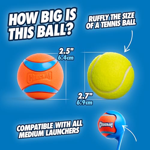 Chuckit! Ultra Ball Dog Toy - Medium Bouncy Fetch Balls For Dogs 20-60 lbs - Made from Durable Rubber - Floating Water Pet...