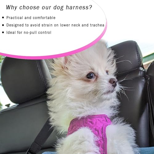 Comfort fit Step-in Dog & Puppy Harness - Comfortable All Weather Dog Vest Harness: Adjustable, Soft Padded, Easy to Put-o...
