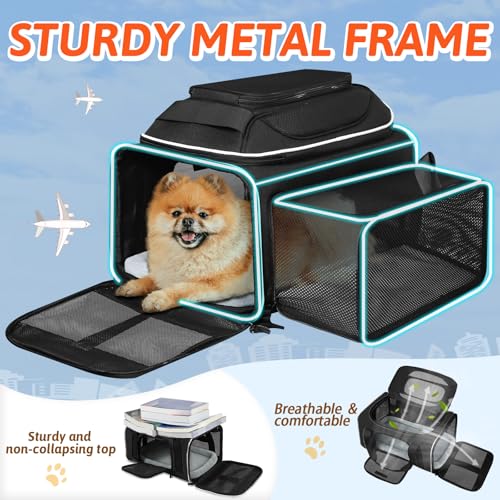 Petskd Top and Side Expandable Pet Carrier 18x11x11 Inches Delta United Airline Approved, Soft-Sided Carrier for Small Cat...