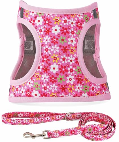 Moonpet Step in Dog Harness Leash Set- All Weather Reflective No-Pull Floral Pattern Padded Mesh Vest Harness for Cats Pup...