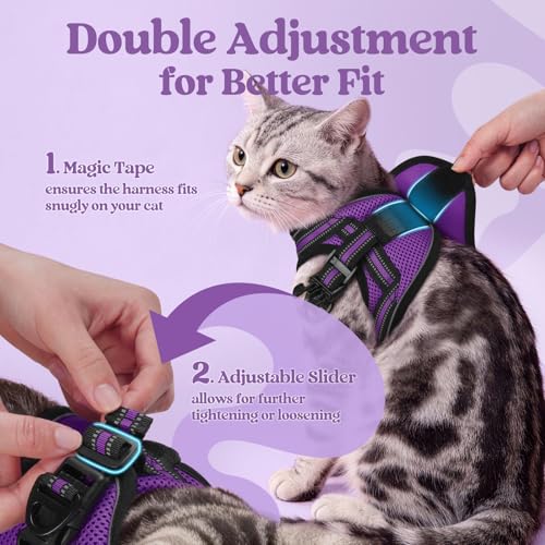 rabbitgoo Cat Harness and Leash Set for Walking Escape Proof, Adjustable Soft Kittens Vest with Reflective Strip for Cats,...