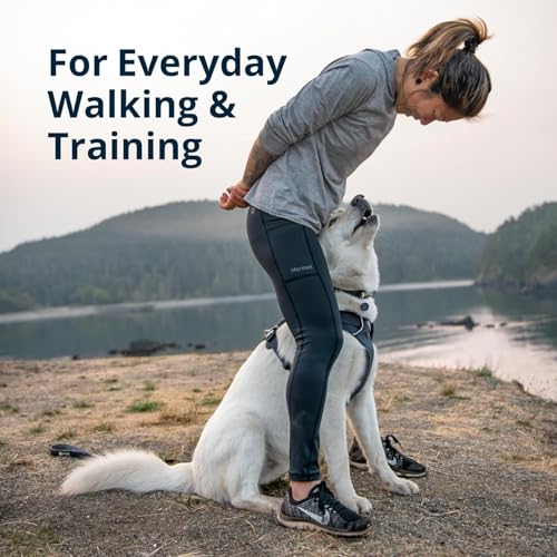 Ruffwear, Front Range Dog Harness, Reflective Soft Padded Everyday Harness with Dual Leash Clips, Adjustable and Lightweig...