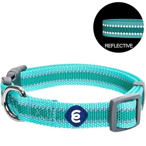 Blueberry Pet Essentials Matching Large Dog Collar | Adjustable Classic Solid Color Nylon Dog Collars for Large Dogs | Ref...
