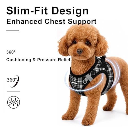 AIITLE Dog Harness Leash Set for Medium Dogs, Step in No Choke Reflective Adjustable Vest Harness with Leash, Breathable P...