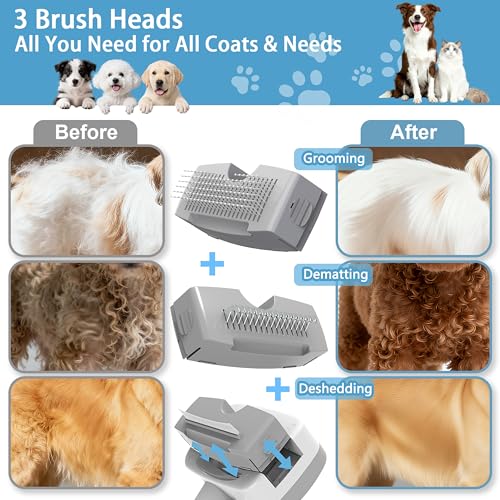 Pet Steam Brush for Dogs & Cats,5-in-1 Self-Cleaning Dog Steam Brush with 3 Swap-in Heads (Grooming, Dematting, Desheddin...