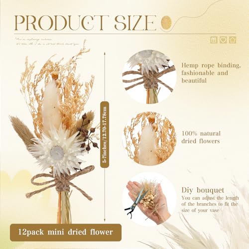 Layhit 12 Pack Boho Dried Flower Bouquet Mini Wedding Handmade Dry Flowers Decor for Vase Crafts DIY Photo Boutonniere for...