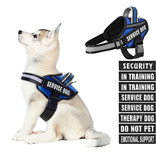 Dog Vest Harness and Patches Set, Animire in Training Service Dog Harness with 10 Dog Patches, Reflective Dog Vest with Ha...