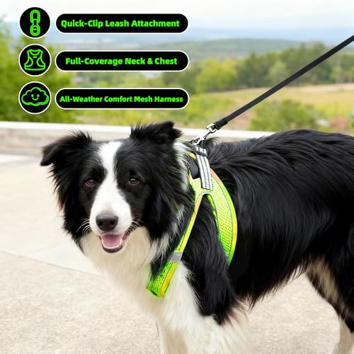 ROYPET Step-in Air Dog Harness, All Weather Mesh Step in Vest Harness for Small and Medidum Dogs and Cats, Adjustable Soft...