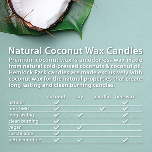 Hemlock Park Blood Orange Sage Apothecary Hand-Poured Scented Candle | Crackling Wood Wick, Botanical Fragrance & Coconut ...