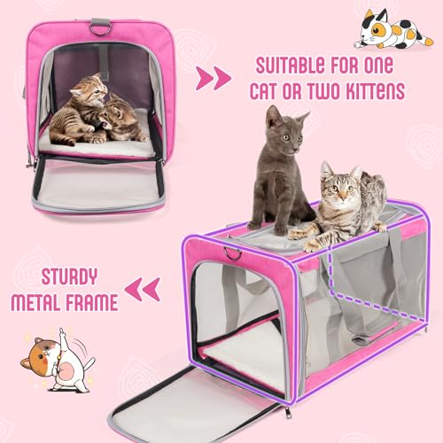 TIYOLAT Pet Carrier for Large Cats of 20 Lbs, Collapsible Carrier Bag for Big Cat or 2 Kittens,Soft Sided Puppy Carrier wi...