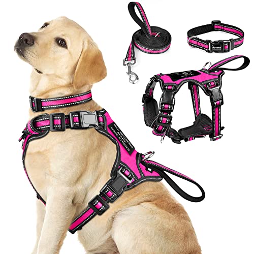 WINSEE Pet Harness Collar and Leash Set, All-in-one Reflective Dog Harness No Pull with Adjustable Buckles for Puppies, Sm...