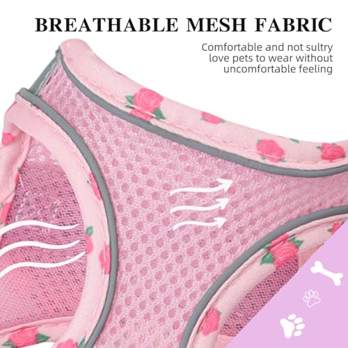 Petank Dog Harness for Small Medium Dogs No Pull, Puppy Harness and Leash Set, Mesh Adjustable Breathable Light Vest for W...