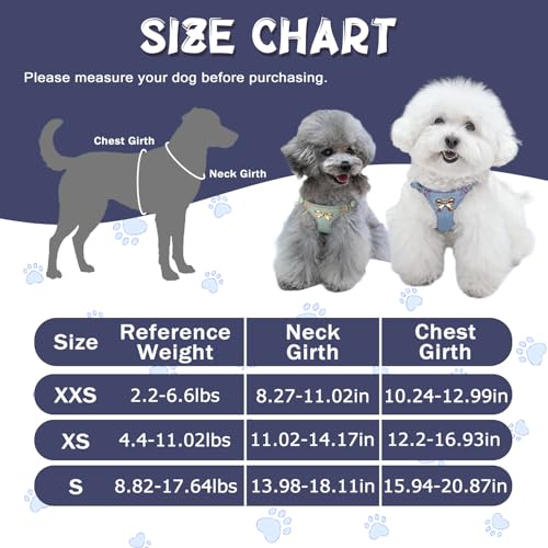 No Pull Dog Harness and Leash Set for Small Sized Dog Training Puppy Harnesses with Multifunction Dog Leash Soft Adjustabl...