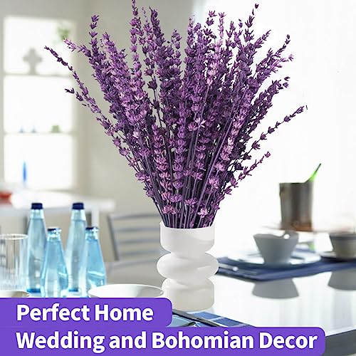 Dried Purple Lavender Flowers Bundle-Dried Preserved Lavender Bouquet 15-17" for Shower Weeding Home Vase Decor, Crafts, A...