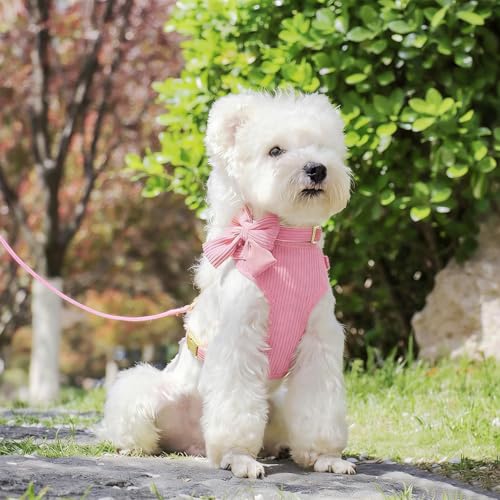 Cute Small Dog Harness Collar and Leash Set with Detachable Bowtie, Adjustable Dog Harness Collar and Leash Set with Secur...