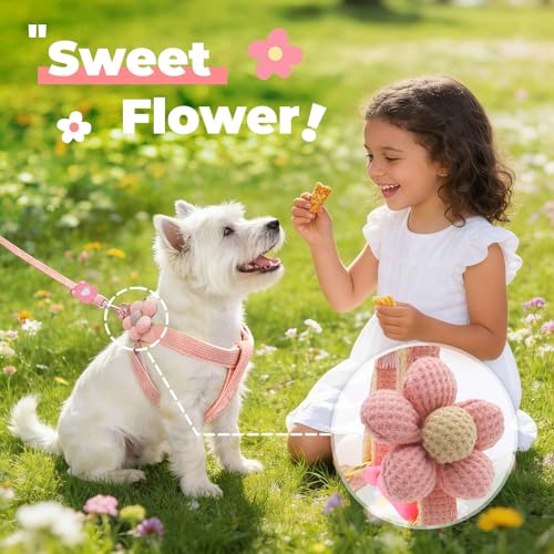PETCARE Cute Flower Dog Harness and Bowtie Leash Set Easy Walk Puppy Dog Halter Harnesses for Small Dogs Girl Step in Dogs...
