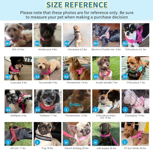 SlowTon No Pull Small Dog Harness and Leash Set, Puppy Soft Vest Harness Neck & Chest Adjustable, Reflective Lightweight H...