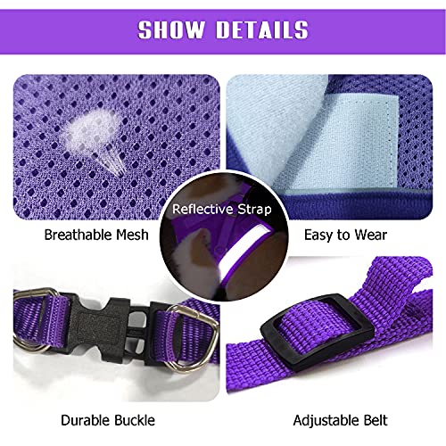 FEimaX Dog Harness and Leash Set for Walking, Soft Mesh Adjustable Easy Control Lightweight Cat Vest Harnesses with Reflec...