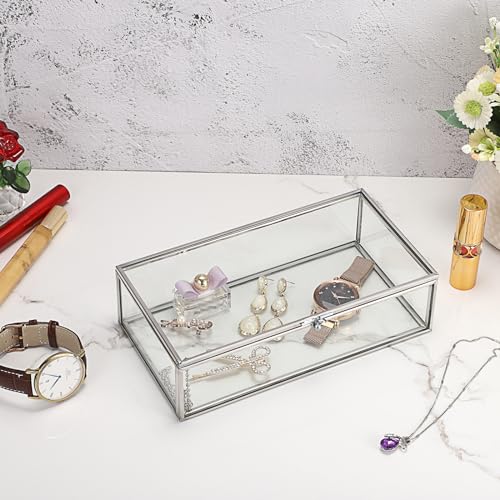 Hipiwe Glass Keepsake Display and Jewelry Organizer With Lid - Silver Decorative Clear Rectangle Storage for Trinket Perfu...