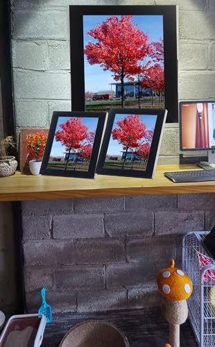 Medog 8.5x11 Picture Frame in Black,Document Certificate Frames, Display Pictures 8.5x11 Picture Frame, 1 Pack