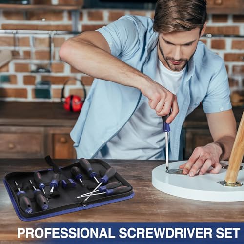 WORKPRO 10-Piece Magnetic Screwdriver Set with Pouch, Phillips, Slotted, Flat Head Screwdriver Include Magnetizer, Screwdr...