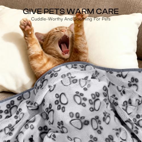 Luciphia Premium Soft Dog Blanket for Small Medium Large Dogs Washable 300GSM Fluffy Warm Fleece Puppy Cat Paw Print Pet F...