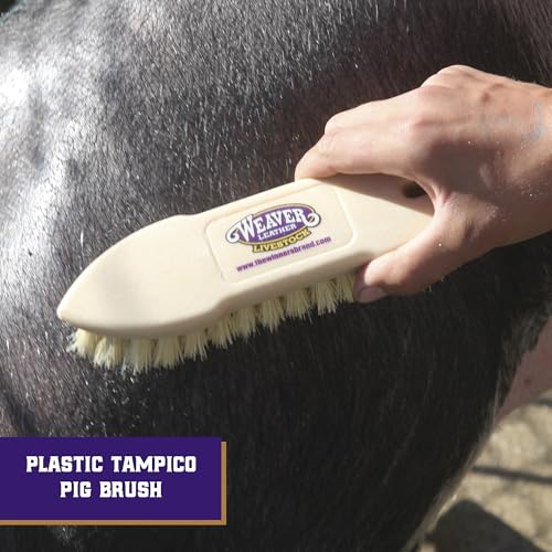 Weaver Livestock Tampico Pig Brush, Plastic Grooming Brush for Dirt Removal, Soft Bristle Tampico Brush for Smooth Hair, D...