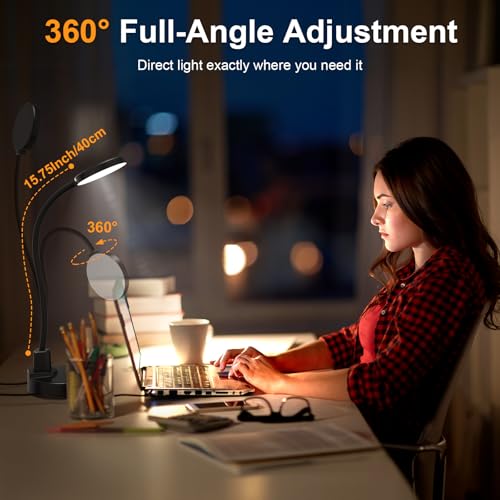 15W LED Desk Lamp with USB Charging Ports – Dimmable Table Lamp with 3 Color Temps, 5 Brightness, 4 Timers, Flexible Goose...