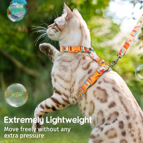 Dooradar Cat Harness and Leash, Escape Proof Adjustable Kitten Vest, Lightweight Soft Pet Straps, Easy Wearing for Small M...