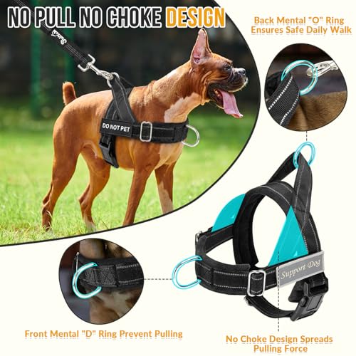 SlowTon No Pull Dog Harness - Heavy Duty Dog Harness and Leash Set for Medium Large Dogs, Reflective Tactical Harness with...