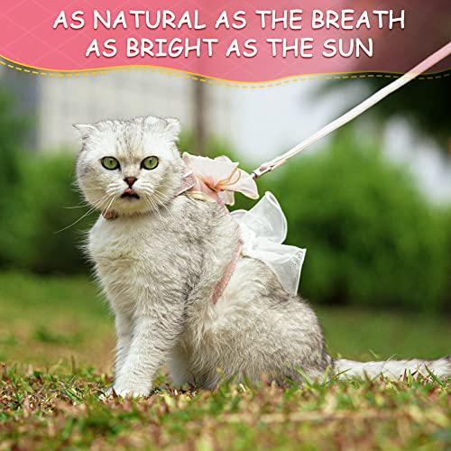 Cat Harness and Leash Set Escape Proof Travel Cat Harness for Small Cat and Large Cat Blue Color Junsirs