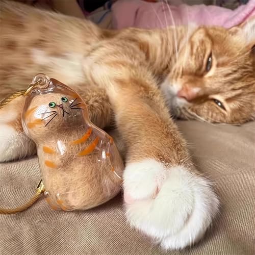 Pet Fur Memorial Keychain-Transparent cat Hair Keychain,Pendant for Cat & Dog Hair Collection -Animal Lovers Keepsake Gift