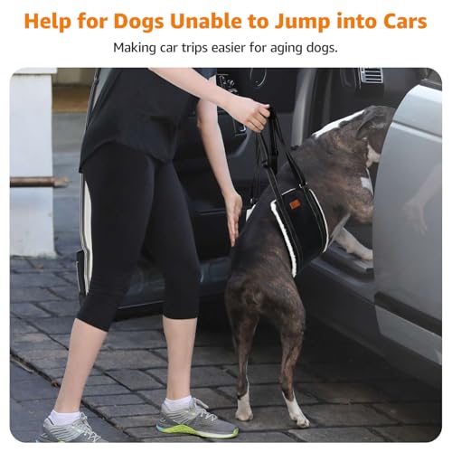 LOOBANI Portable Dog Sling for Back Legs, Hip Support Harness to Help Lift Rear for Canine Aid Old K9 Cruciate Ligament Re...