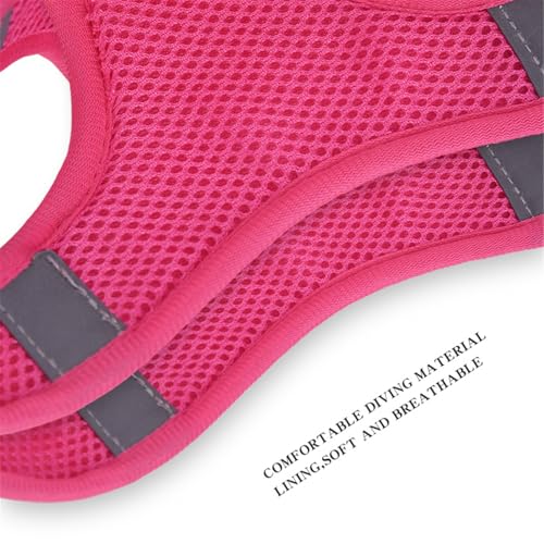 KocaPlye Step in Dog Harness No Pull Flower Adjustable Soft Mesh Padded Reflective Pet Vest Harness and Leash Set for Smal...